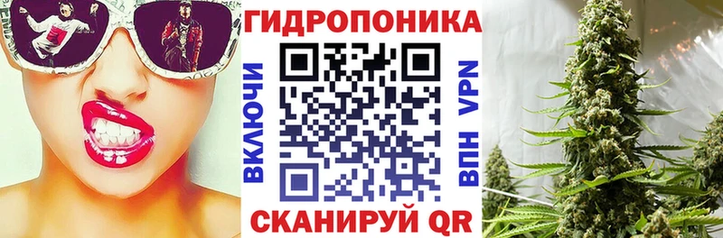 Бошки марихуана THC 21%  Олонец 